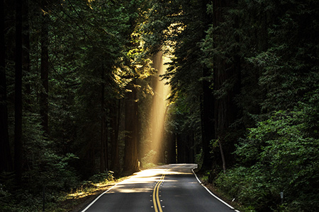when the road is long the occupational therapist shines light